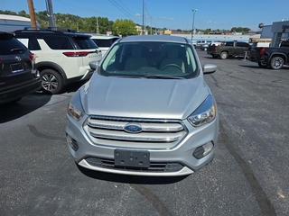 2019 Ford Escape for sale in Clinton TN