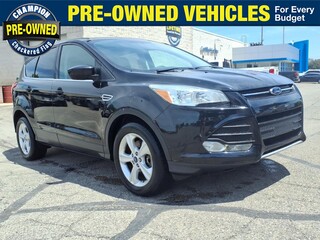 2015 Ford Escape for sale in Fowlerville MI
