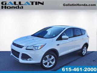 2014 Ford Escape for sale in Gallatin TN