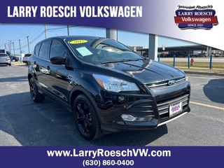 2015 Ford Escape for sale in Elmhurst IL