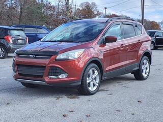 2014 Ford Escape for sale in Spring Lake MI