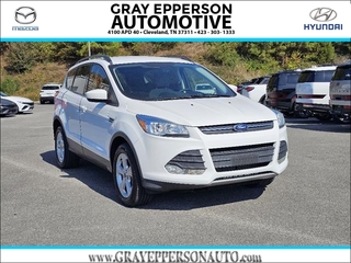 2016 Ford Escape for sale in Cleveland TN