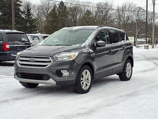 2018 Ford Escape for sale in Spring Lake MI