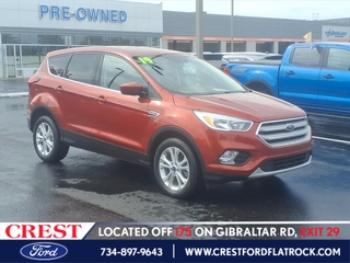 2019 Ford Escape for sale in Flat Rock MI