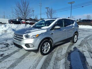2019 Ford Escape for sale in Clinton Twp. MI