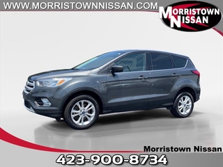 2019 Ford Escape for sale in Morristown TN