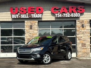2019 Ford Escape for sale in Woodhaven MI