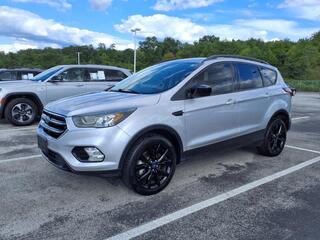 2019 Ford Escape for sale in Greenville SC