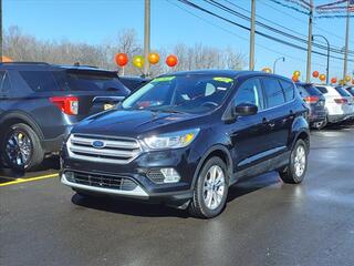 2019 Ford Escape for sale in Woodhaven MI