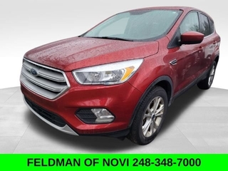 2019 Ford Escape for sale in Novi MI