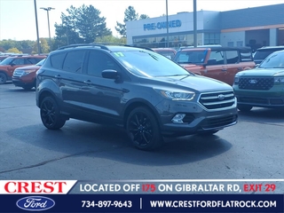 2017 Ford Escape for sale in Flat Rock MI