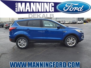 2019 Ford Escape for sale in Des Plaines IL