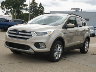 2017 Ford Escape for sale in Roseville MI