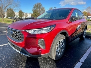 2025 Ford Escape for sale in Louisville KY