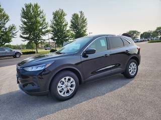 2023 Ford Escape for sale in Brookfield WI