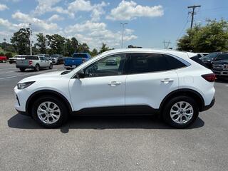 2024 Ford Escape for sale in Dandridge TN