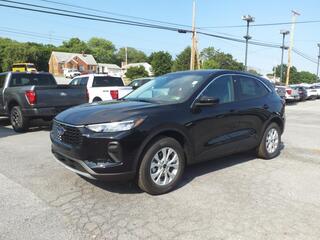 2024 Ford Escape for sale in Martinsburg WV