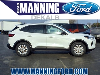 2025 Ford Escape for sale in Des Plaines IL