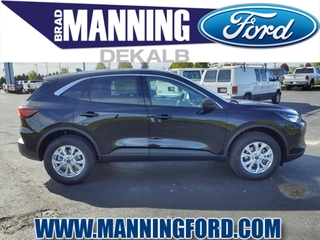 2024 Ford Escape for sale in Des Plaines IL