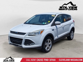 2013 Ford Escape for sale in Mcdonald TN