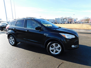 2014 Ford Escape for sale in Clarksville TN