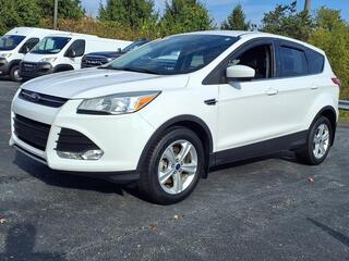 2015 Ford Escape for sale in St Clairsville OH