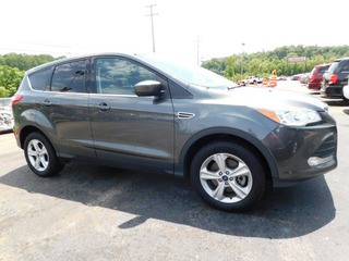 2016 Ford Escape for sale in Clarksville TN