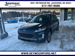 2022 Ford Escape for sale in Jackson MI