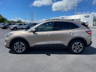 2020 Ford Escape for sale in Dandridge TN