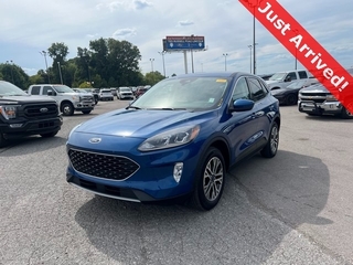 2022 Ford Escape for sale in Knoxville TN