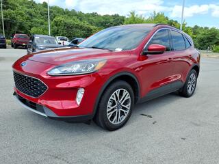 2020 Ford Escape for sale in Bristol TN