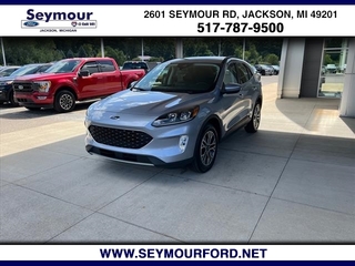 2022 Ford Escape for sale in Jackson MI