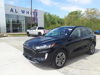 2022 Ford Escape for sale in Manchester TN
