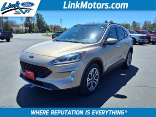 2020 Ford Escape for sale in Minong WI