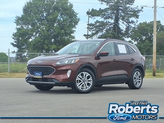 2021 Ford Escape for sale in Alton IL
