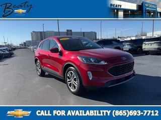 2022 Ford Escape for sale in Knoxville TN