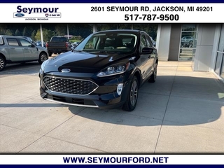 2022 Ford Escape for sale in Jackson MI