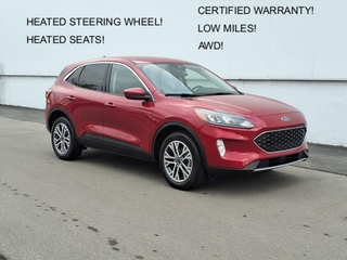 2022 Ford Escape for sale in Monroe MI