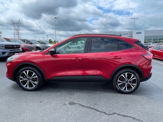 2022 Ford Escape for sale in Dandridge TN