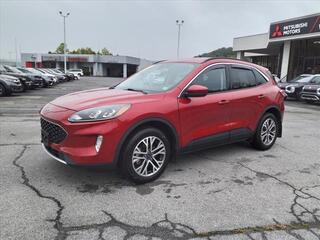 2021 Ford Escape for sale in Kingsport TN