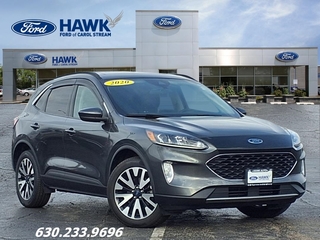2020 Ford Escape for sale in Carol Stream IL
