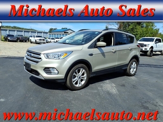 2018 Ford Escape for sale in Carmichaels PA