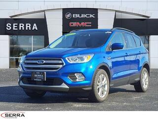 2019 Ford Escape for sale in Savoy IL