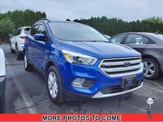 2019 Ford Escape for sale in Petersburg PA