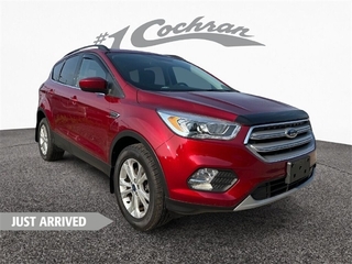 2019 Ford Escape for sale in Youngstown OH