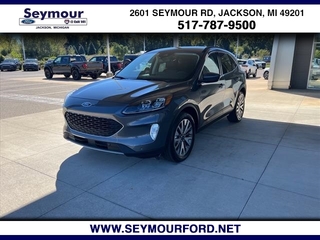 2022 Ford Escape for sale in Jackson MI