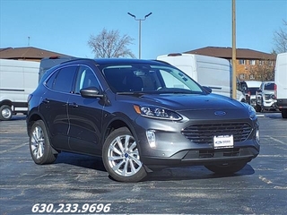 2021 Ford Escape for sale in Carol Stream IL