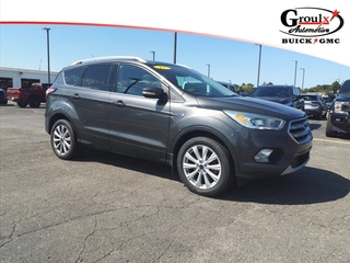 2017 Ford Escape for sale in Monroe MI