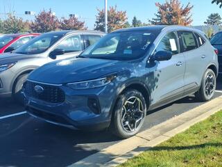 2026 Ford Escape for sale in Dundee MI