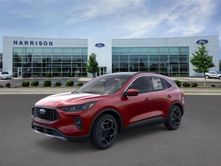 2026 Ford Escape for sale in Mankato MN